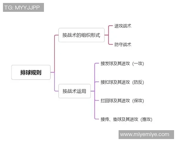 重庆排球队在城市联赛中的灵活战术与团队配合分析