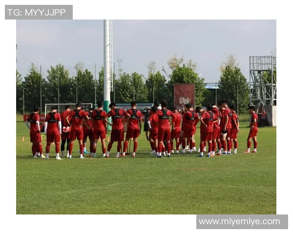 上海足球队的拼搏历程与荣耀瞬间全景纪实