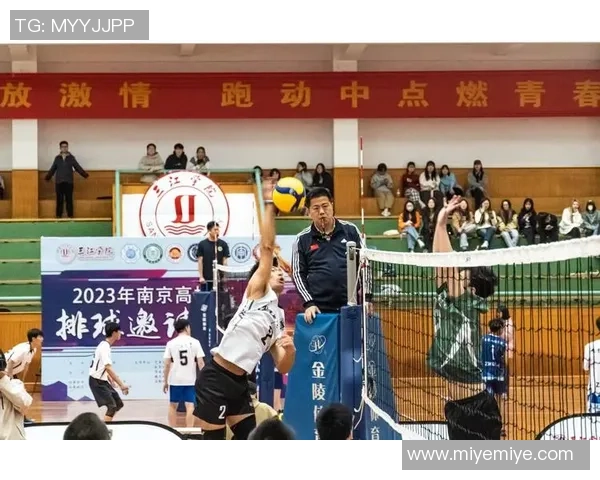 上海排球队的辉煌征程与杯赛背后的奋斗故事